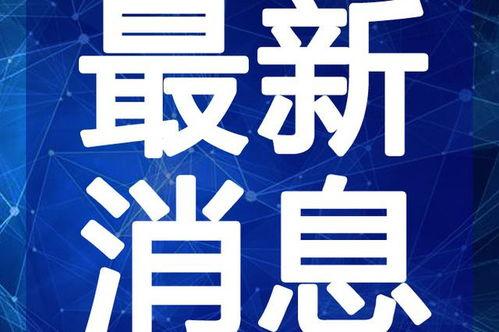 淘气丸子最新爆料视频,揭秘娱乐圈惊人内幕！