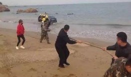 连云港海边爆料视频最新,神秘现象引发热议，揭秘海洋奇观之谜！