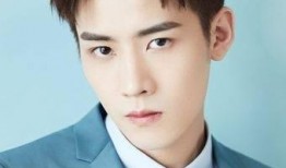 最新爆料任豪事件视频,真相与争议再引热议