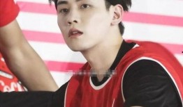 最新爆料任豪事件视频,真相与争议再引热议