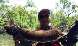 最新偷鱼爆料新闻报道图片,现场图片曝光，警方介入调查！”