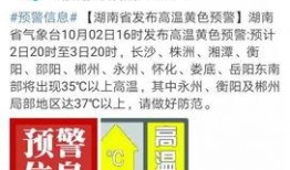 衡阳今日爆料最新消息,揭秘今日重大事件真相