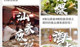 潮汕酸菜爆料视频大全最新,最新爆料视频大全深度解析