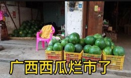 新瓜最新爆料广西视频,揭秘背后惊人真相！”