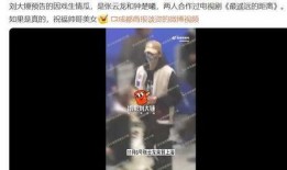 刘大锤爆料猛料最新,娱乐圈惊天猛料大揭秘！