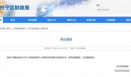 深圳杨某爆料最新新闻报道,最新热点事件深度解析