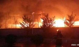 南阳爆料最新事件视频,视频揭露惊人真相，网友热议不断