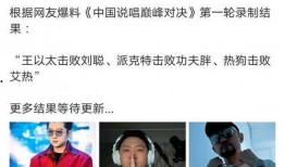 杨和苏最新爆料,揭秘音乐背后的故事与心路历程