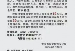 山西人最新爆料,揭秘神秘事件背后的真相