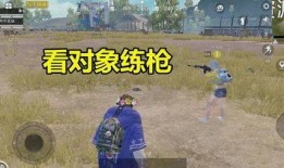 和平精英下一个中转盘爆料最新,神秘元素揭晓，游戏体验再升级