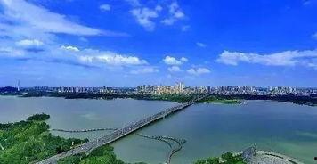 安徽蚌埠爆料事件最新进展,真相逐步浮出水面