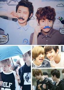 exo伯贤最新爆料,EXO成员们的幕后故事与心路历程